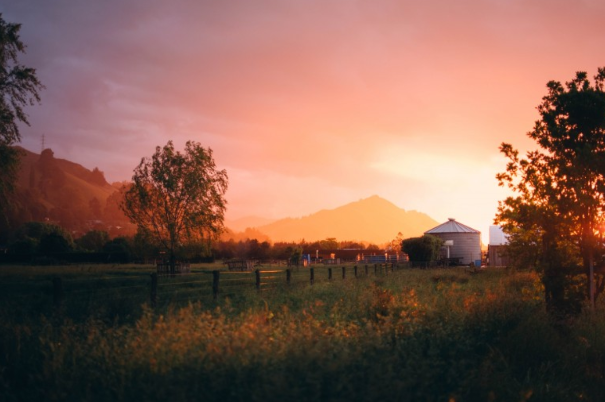 本人讲星座|开口慢半拍，做人稳重的星座，后知后觉，却有着成年人的顶级修养