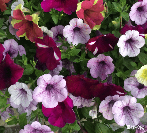 |哪些月份出生的人,勇于承担错误,职场中能乘风破浪,迎接新惊喜