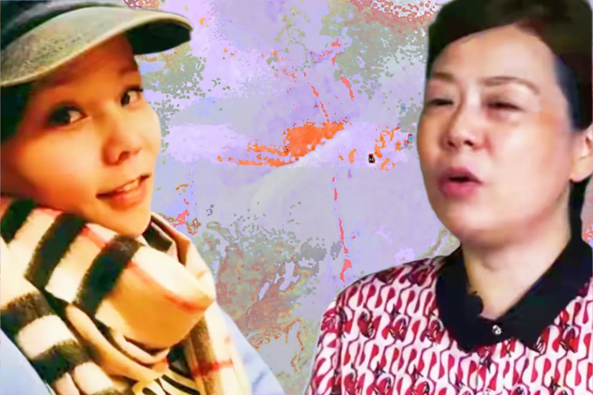 云雀飞舞 许妈九江的房产官司胜诉了吗？结果将会如何？一起来分析一下！