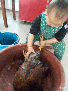 丁剑剑|“如果给你十厘米，你愿意把它加在哪里呢？”网友评论太优秀了！哈哈哈