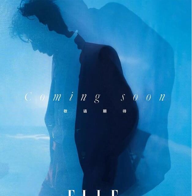 明星|肖战登《ELLE》开年刊，双封再现不同气质，却有一点引发“不满”