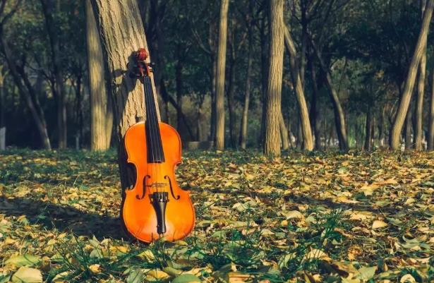 英超|人过五十，调整心态，别说这五种话