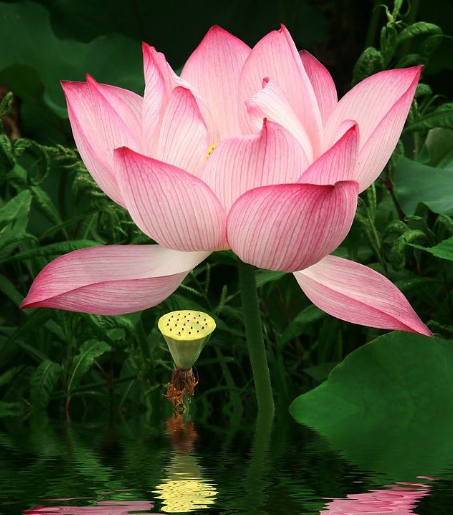 星临天下|9月中旬，4属相运势上涨，财源滚滚，生活蒸蒸日上