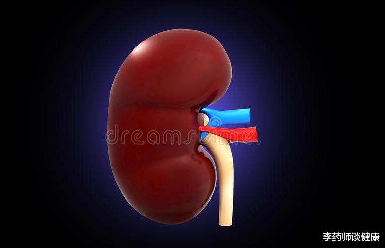 李药师谈健康|吃什么容易得尿毒症？本文：保护肾脏健康的健康饮食建议