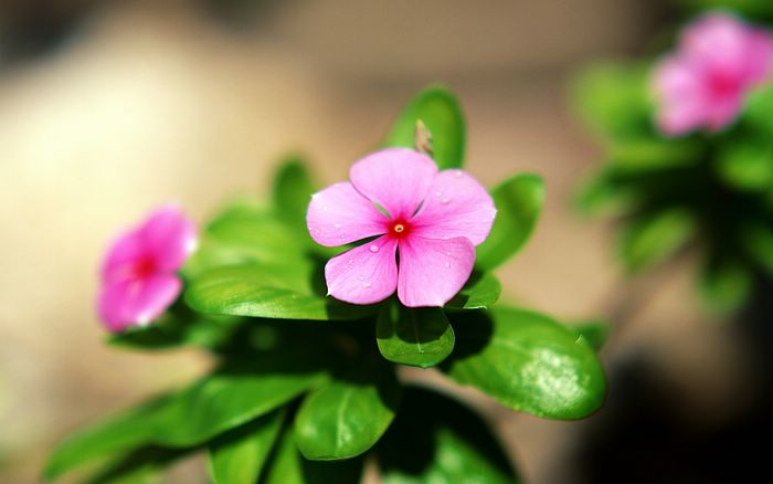 遇见小媛 到了中年,婚姻幸福的女人,身上都有3点“迷人”之处