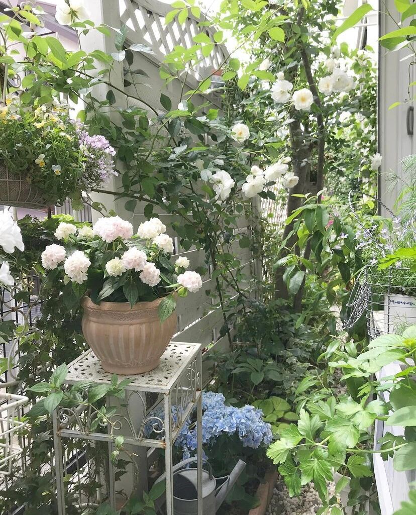 8㎡的狭长小道,也能建漂亮花园,对于阳台党来说非常值得借鉴