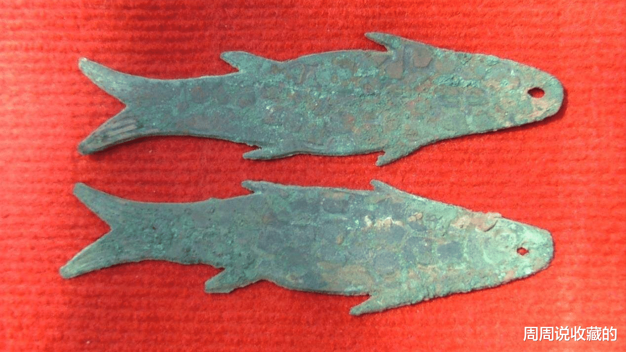 |鱼币属于流通货币吗？