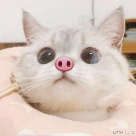 我们终于可以摆脱传统餐桌椅的陈设，靠墙打个卡座，底下还能做收纳