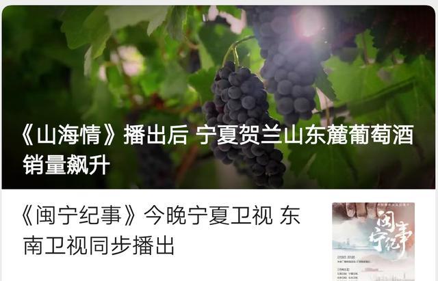 山海情|为在《山海情》里植入广告，亿万身家老板不惜在剧里跑龙套？