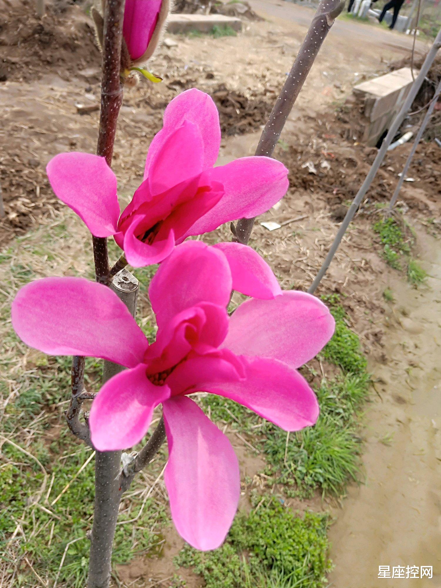 |啥月份出生的人，曾经为钱而愁，明年除夕以后，财富不请自来！