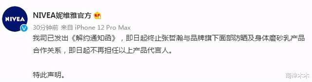 张哲瀚|张哲瀚27个代言全部掉光，被曝要赔上积蓄，走红四个月槽点太多