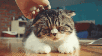 肾衰竭|睡前1小时是养生黄金期！坚持6个动作，冬天养肾有奇效