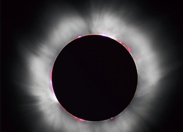 核酸检测 比邻星曾向地球发出神秘无线电信号，科学家表示可能有外星生命？