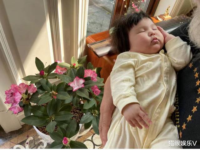 张纪中|70岁张纪中好宠女！搂5月大女儿不舍撒手，父女如复制却似爷孙