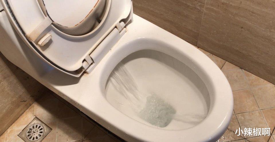 松饼|科研人员发现,食物吃下后排出体外的速度,与肠道健康有联系——上