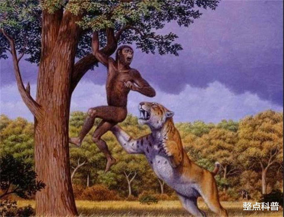 太空 人都是女性生的，在人类出现前，世界上第一个女性是从哪里来的？