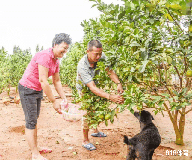 全红婵 泪目! 全红婵母亲曾为工厂做饭, 工资一两千元, 车祸后父亲种地维生