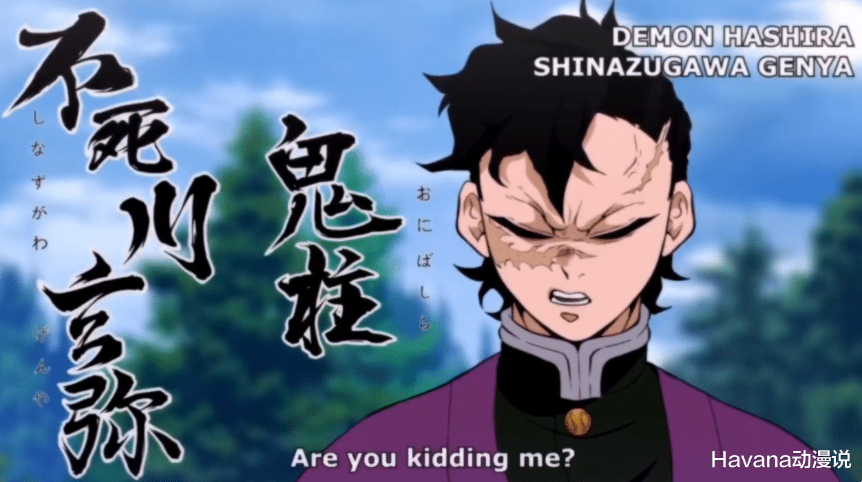 炭治郎|鬼灭之刃：炭治郎长大后的柱合会议，猪头大变样，善逸有颗少女心