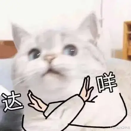 Liya的种草手记|扔掉基础款！2021这3件正火