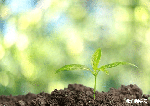 老白侃学习|出手了,11名教师补课被查处,48家补习班被关停,处罚力度引争议