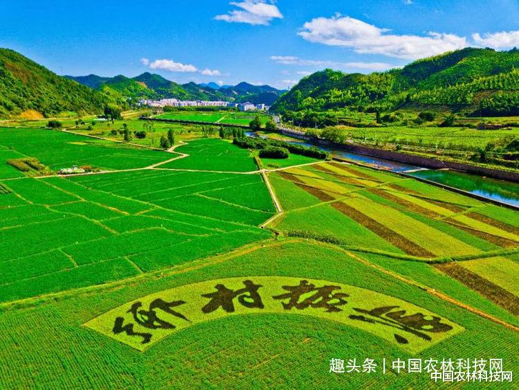 中国农林科技网 中国农林科技网“寻找优质农产品”,走进宁陕