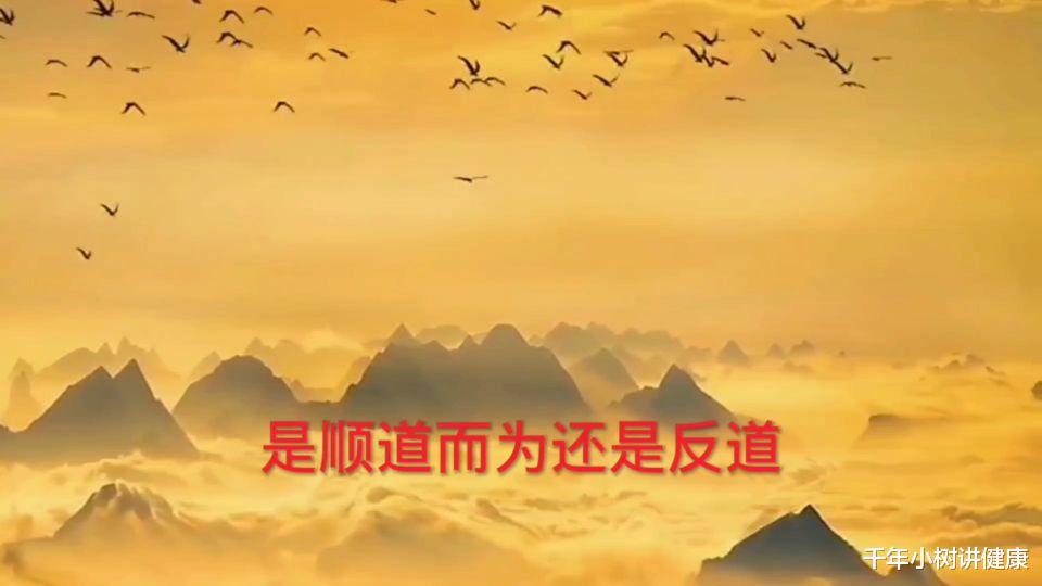 千年小树讲健康|探究中医的奠基人和长寿方法