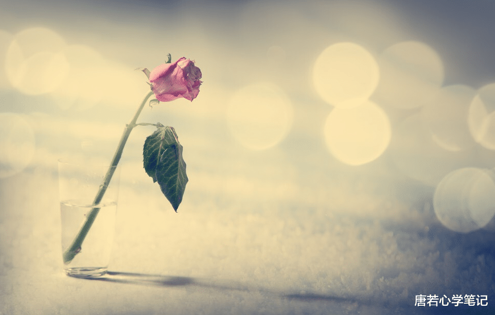 唐若心学笔记|内心强大心法:记住生命的五个根本要点,你的内心会越来越强大