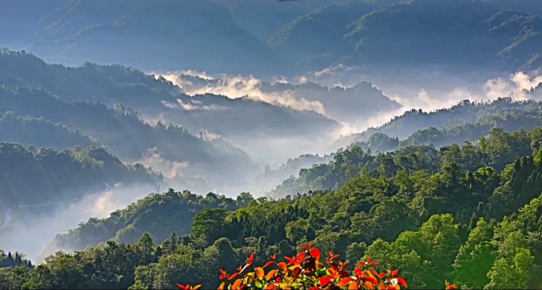 微观什邡 精致什邡，这是一座一见倾心的康养之城