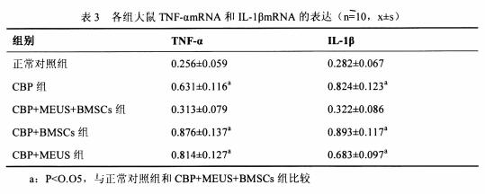 前列腺炎|被前列腺炎“找上门”，看看干细胞疗法在干预前列腺炎会是怎样的效果