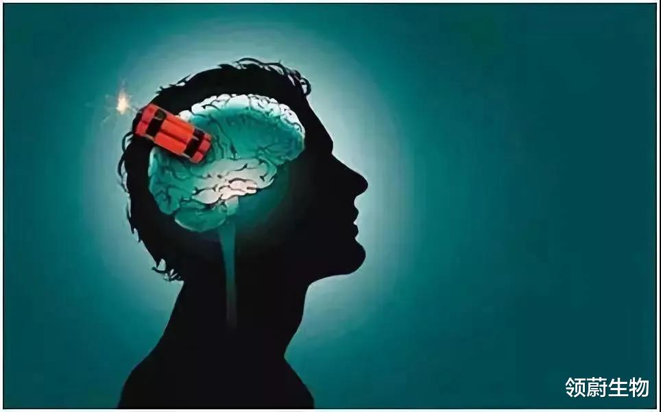 案例研究证实:神经干细胞移植为治疗帕金森提拱了新思路