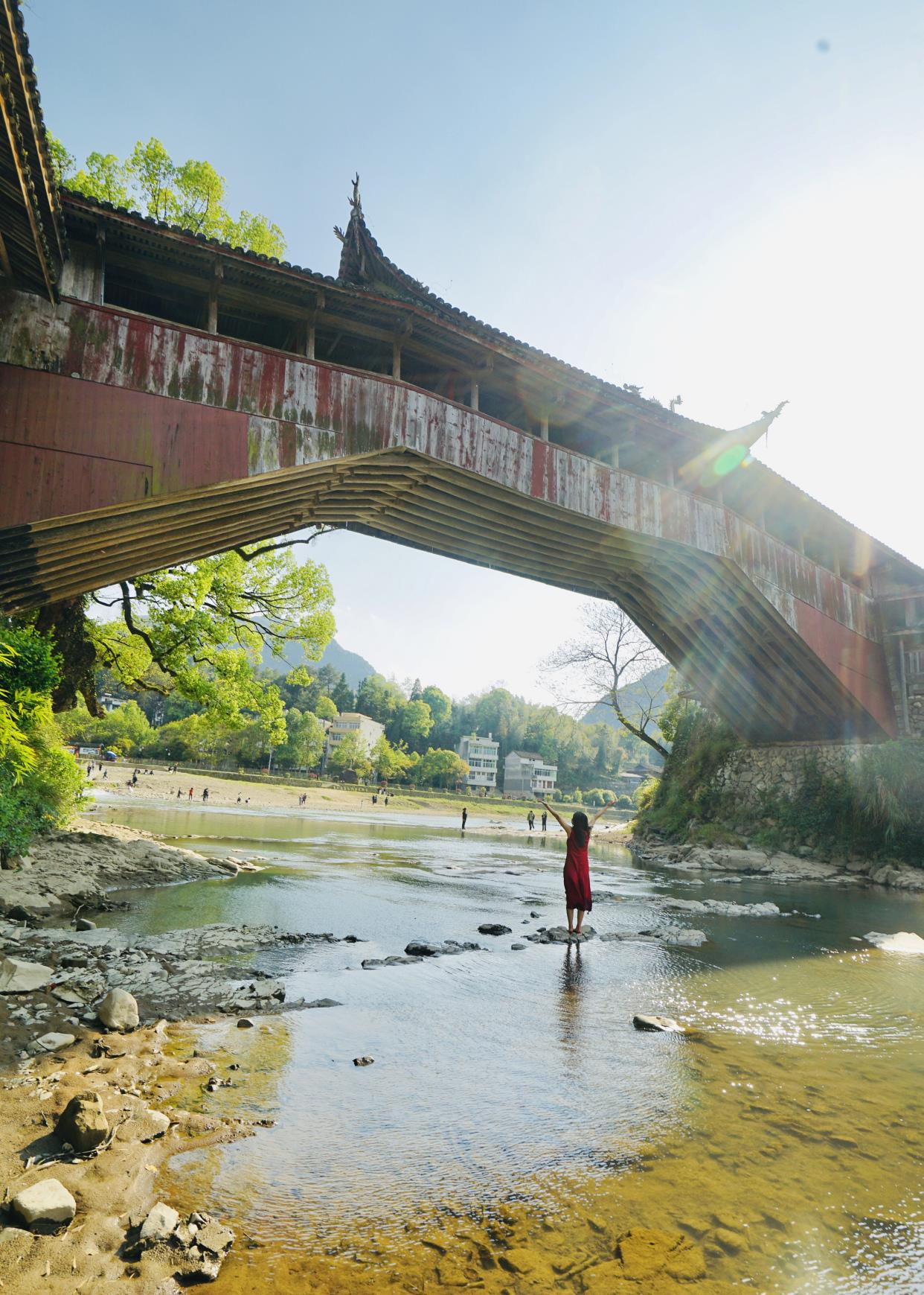 长脖子爸比说|探访浙南国宝级古廊桥,每一步都是历史,每一座都有故事!