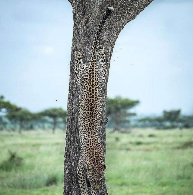 章鱼 你见过在海面悬浮的船吗？15张罕见趣图让人眼前一亮，一睹为快！