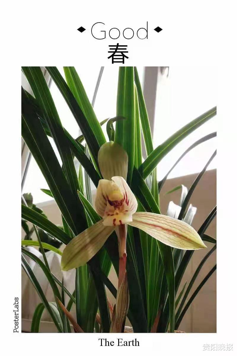 贵阳晚报 动动手指，就有丰厚奖品！好一多幸福年全家福征集活动只剩6天啦，快来找找您的作品在哪里