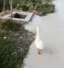 大学生|“让你们见识一下1600的洗浴和600的区别！”哈哈哈我终于知道男人为什么都喜欢贵的