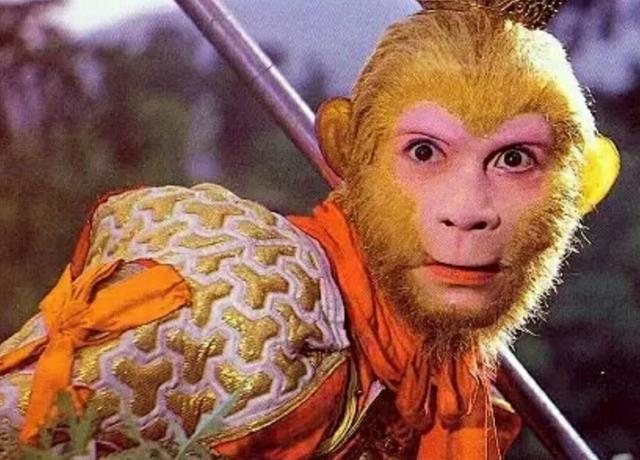 杨洁|杨洁捧红六小龄童，他却大闹葬礼？杨洁：最后悔的就是拍了西游记