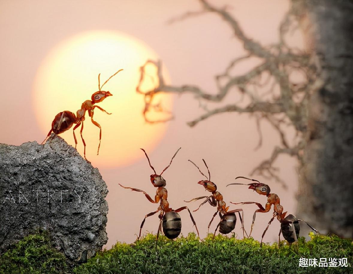 你有没有想过：如果神创造了人，谁又创造了神？（下）