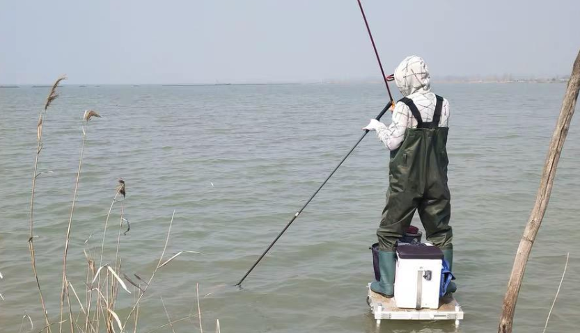 饵料|夏季，淡水鲈鱼的岸提钓法
