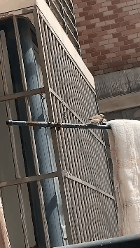 半暖时光|这些真实的电影镜头,有多少人误认为是特效?被骗了很多年,哈哈