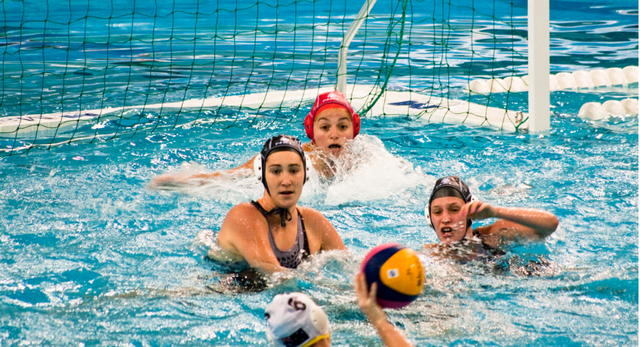 爱红烧肉|四年等一次的项目愈发鸡肋，国际奥委会为何仍不欢迎“电竞入奥”