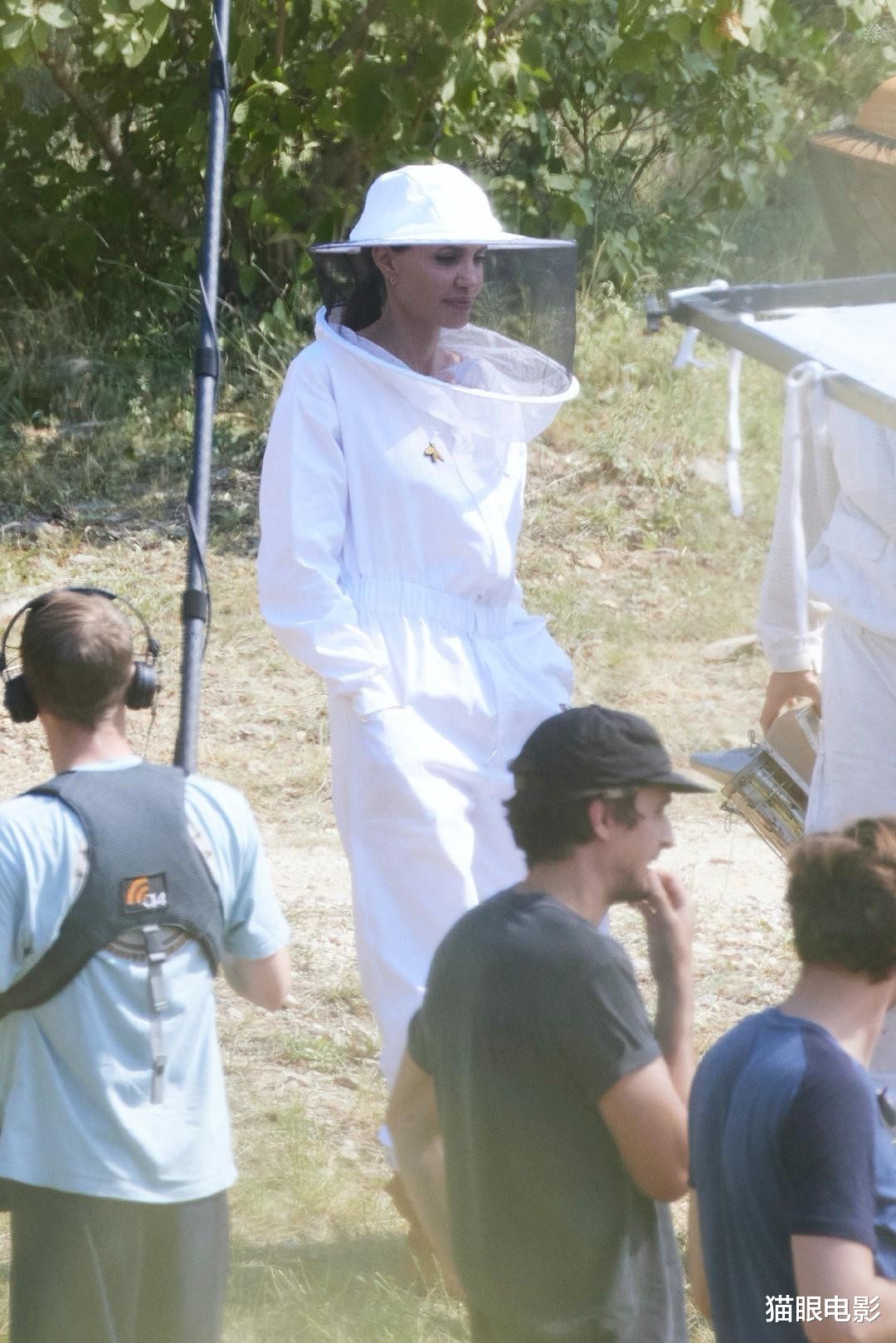 安吉丽娜·朱莉|女神跑去养蜂了！46岁朱莉现身活动，手臂血管明显身材太消瘦