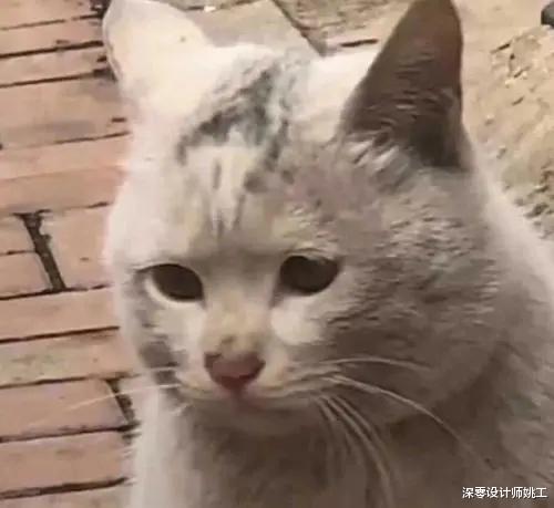 冬天装修的朋友们，刷完漆可不要大意了，一定不要搞错通风时间