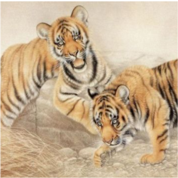 属马|下半年有幸遇见新的贵人,职场中展现才华,赚钱路越走越顺的属相