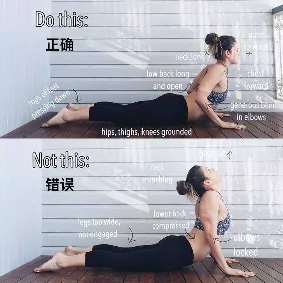 蜂蜜|千萬別再誤解瑜伽了，3組體式“正確VS錯誤”精講分析【干貨】
