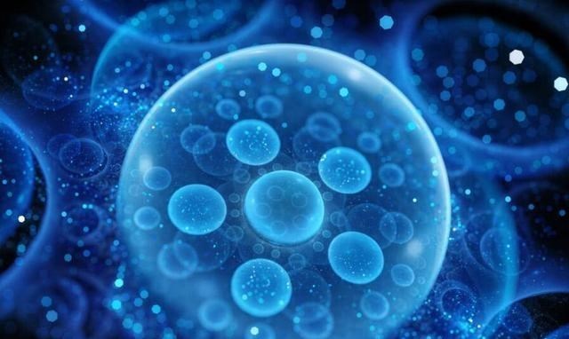 人类为何不能永生？科学家：人类都是“打工仔”