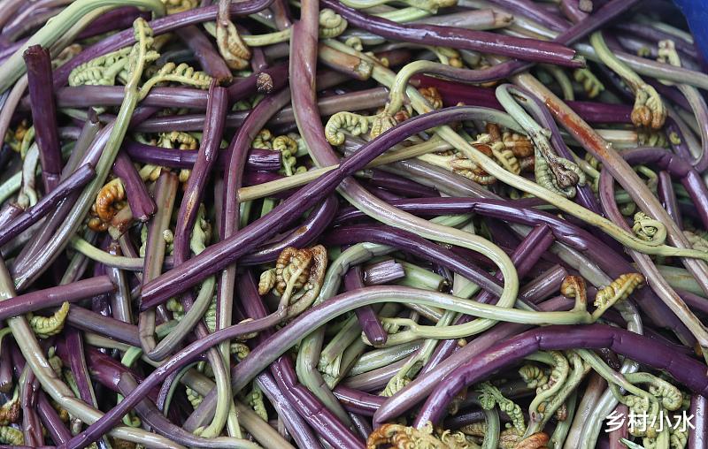 蕨菜被誉为“长寿菜”，真的致癌吗？