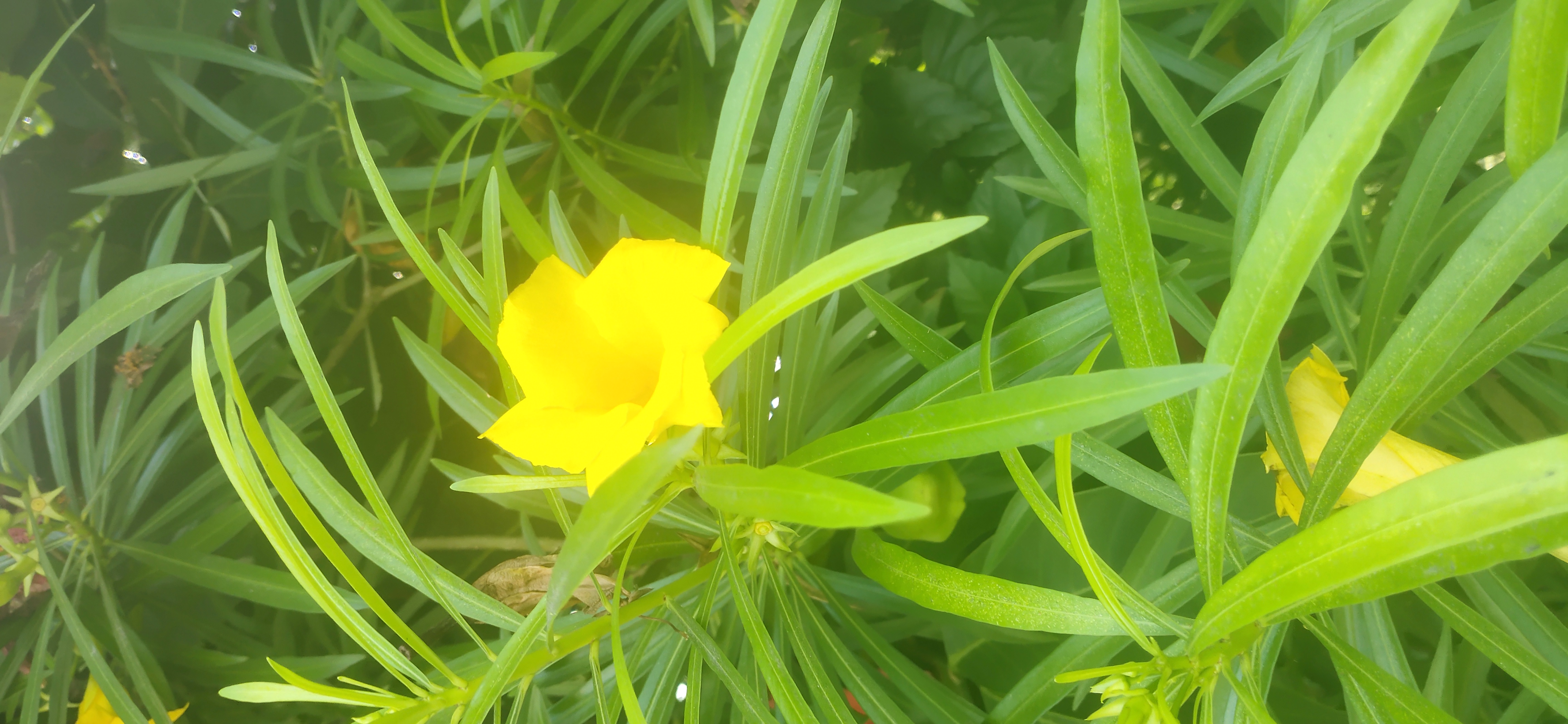 纷繁芜杂|夫妻间的事，虽说不清，道不明，但离婚并不是最好的解决办法