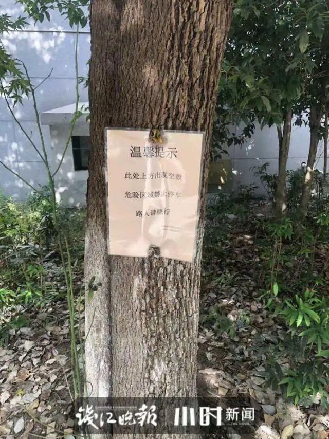 小区外墙画满黑“X”,绿化带里全是墙砖!业主:“住在这里整天提心吊胆”