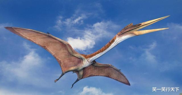 风神翼龙 晚白垩纪的天空霸主，风神翼龙。