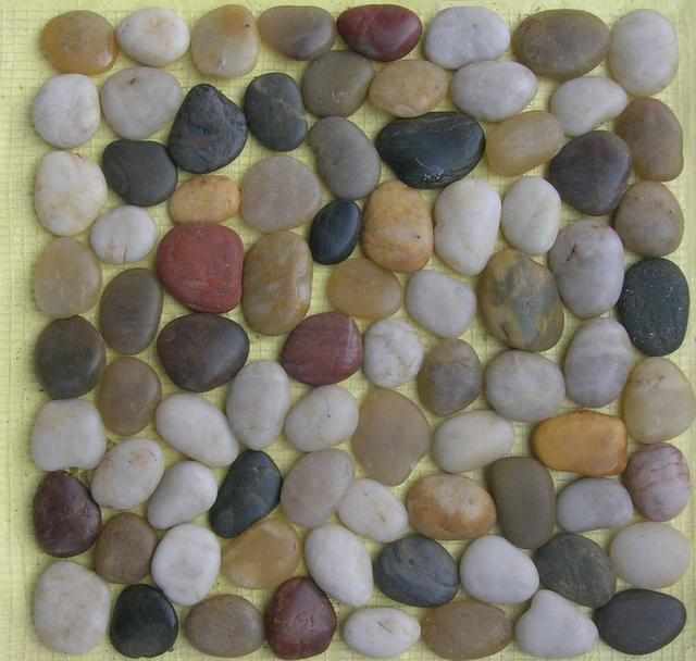 老公河边捡鹅卵石铺在卫生间，效果太赞了，邻居纷纷效仿！