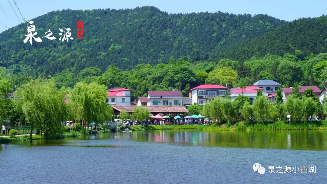 上栗|喜欢到上栗小西湖钓鱼的人，你们知道钓的鱼是哪里的吗？其实是……